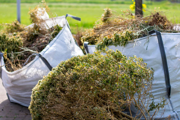 Best Dumpster Rental Services  in Mcgraw, NY